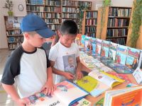 Александровская сельская библиотека