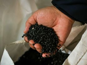 Первые резиденты ТОР «Якутия» вышли на общий режим налогообложения по завершении льготного периода