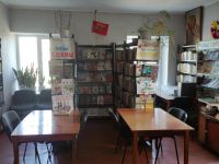 Углеродовская библиотека