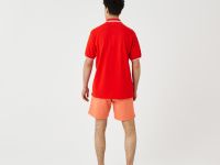 Мужское поло Lacoste классического кроя