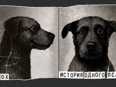 Мох. История одного пса