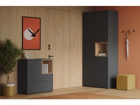 Распашной шкаф Висмар 2-103x240 Графитовый