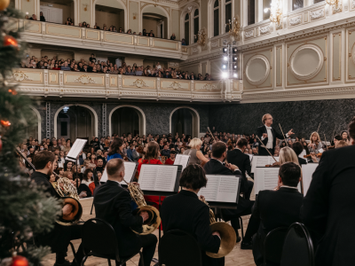 Билеты на Штраус-гала (Капелла) / Концерт | Афиша | ИнфоТаймс