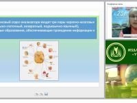 Характеристика детей с ОНР: определение, периодизация, обследование