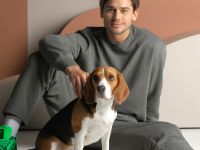 Свитшот Массимо мужской/Massimo men, серый