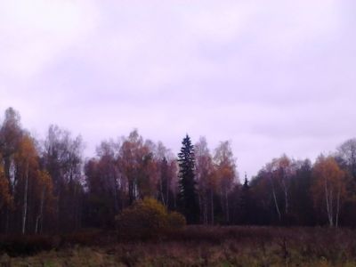 Священная роща