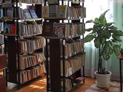 Солонская сельская библиотека – филиал № 15