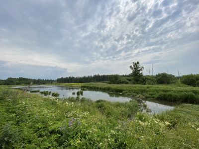Ручей Леваловский