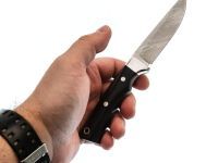 Нож Газель малютка цмт, сталь Х12МФ, граб