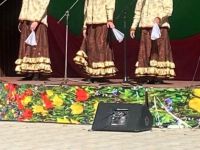 Веселовский сельский дом культуры