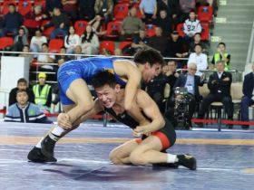 Два борца из Якутии стали обладателями серебряных медалей турнира Романа Дмитриева