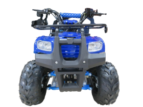 Квадроцикл ATV Atomik Spark