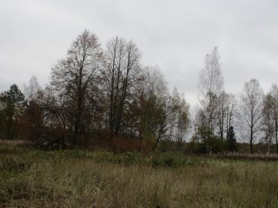 Памятное место, где в 1942 г. размещался штаб 1-го партизанского полка дивизии «Дедушка»