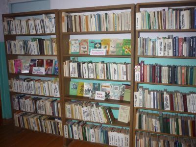 Дубовицкая сельская библиотека – филиал