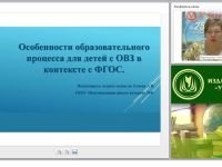 Особенности образовательного процесса для детей с ОВЗ в контексте ФГОС