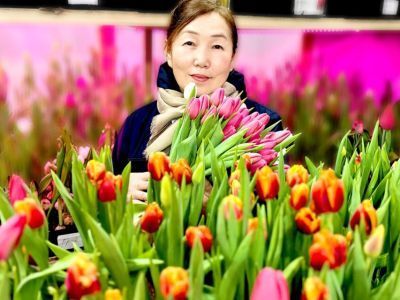 Пять тысяч тюльпанов среди зимы: семья из Горного района создала цветущий оазис