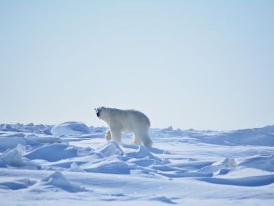 Нижнеколымский район Якутии в цифрах и фактах