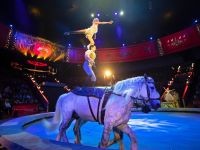 Большой Московский государственный цирк на проспекте Вернадского