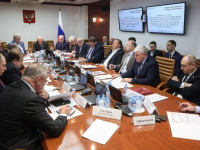 Участие молодежных организаций в жизни страны обсудили в Совете Федерации