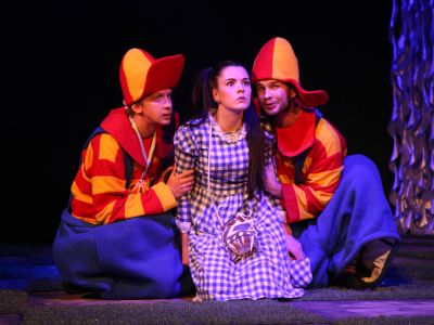 Билеты на Алиса в Зазеркалье (Театр драмы им. М. Горького) / Театр | Афиша | ИнфоТаймс