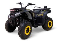 Квадроцикл MOTAX Grizlik W200
