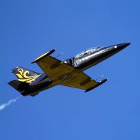 Полет на истребителе L-39