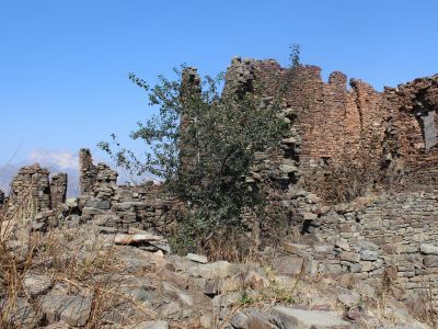 Резные камни с арабскими письменами и изображениями (6 единиц)