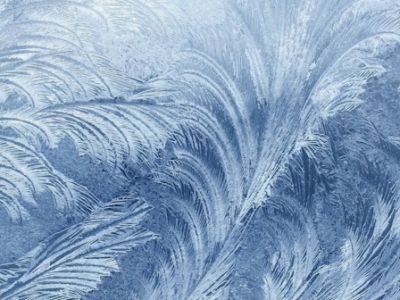 «Ювелирная сказка от Костромской Снегурочки» Выставка ювелирного искусства брендов Костромской области