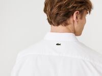 Мужская рубашка Lacoste Regular Fit