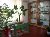 Музей истории Заветинского района