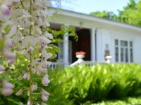 Мемориальный музей-усадьба художника Н. А. Ярошенко