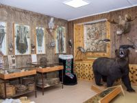 Краеведческий музей