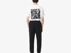 Мужские спортивные брюки Lacoste из органического хлопка