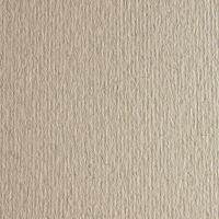 Бумага для пастели Fabriano "Cartacrea" 21x29,7 см 220 г, серый теплый