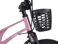 Детский велосипед Maxiscoo Air Pro 16, год 2026, цвет Розовый