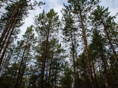 Продолжаются поиски двух пропавших женщин в селе Аппаны Намского района