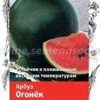 Арбуз Огонек (Семетра)