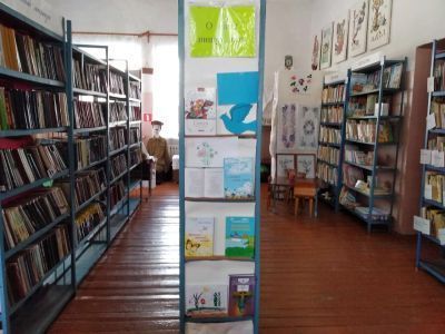 Прохоровская сельская библиотека № 20