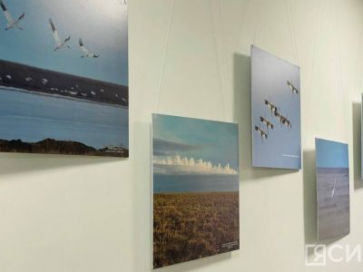 В Якутске открылась фотовыставка «Полёт стерха длиною в 6000 км» в честь Всемирного дня журавля