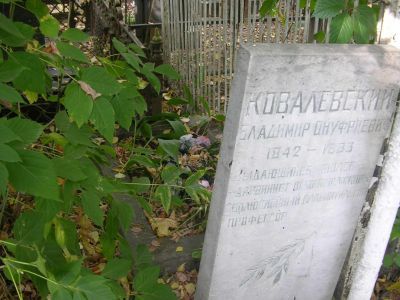 Могила Ковалевского Владимира Онуфриевича (1842-1883), палеонтолога