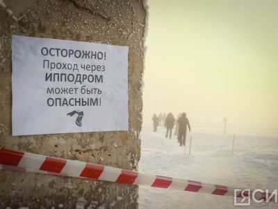 Город для собак. Возможно ли полностью решить проблему с безнадзорными животными в Якутске?