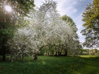 Музей-усадьба Ф. М. Достоевского «Даровое»