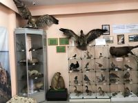 Борский краеведческий музей