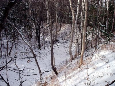 Форт Преображенский