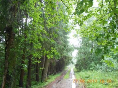 Усадебный парк