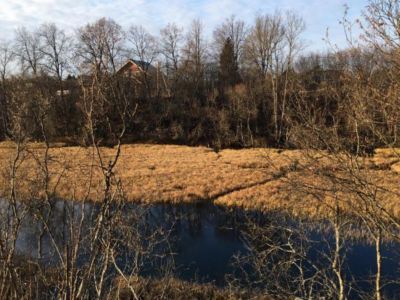 Усадебно-парковый комплекс «Хревицы»