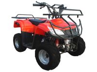 Квадроцикл MOTAX ATV A-23