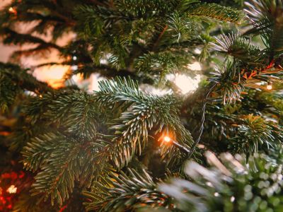 Билеты на Гирлянды (Восход) / Событие | Афиша | ИнфоТаймс