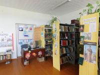 Пушкаревская сельская библиотека