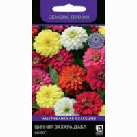 Цинния Захара Дабл Микс (Семена Профи)